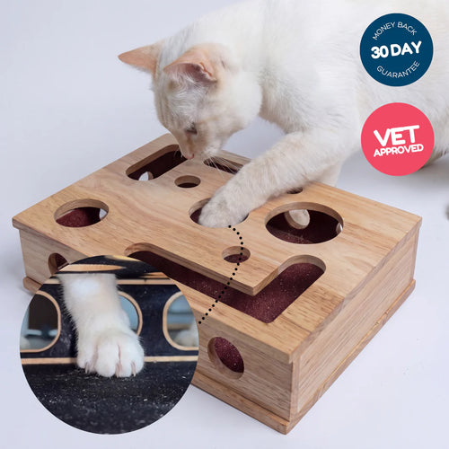 Getzoomies™ Cat Claw Filing Box